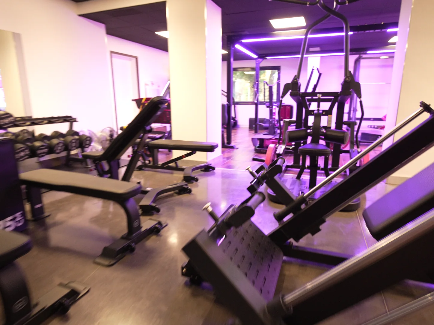 Plateau musculation équipé Bodytone — Le Local Besançon
